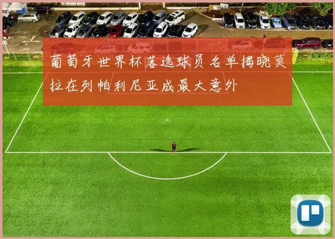 葡萄牙世界杯落选球员名单揭晓莫拉在列帕利尼亚成最大意外
